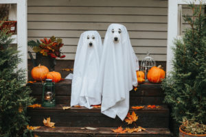 Spooky Events For Halloween