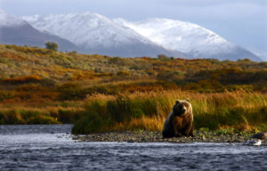 Ways to See Kodiak Island