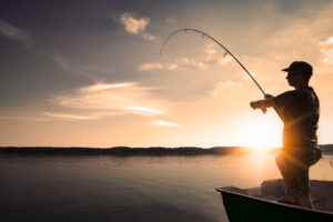 For Fishing Enthusiasts: A Guide To Kodiak Marine Life