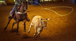 Coming Up: Kodiak State Rodeo